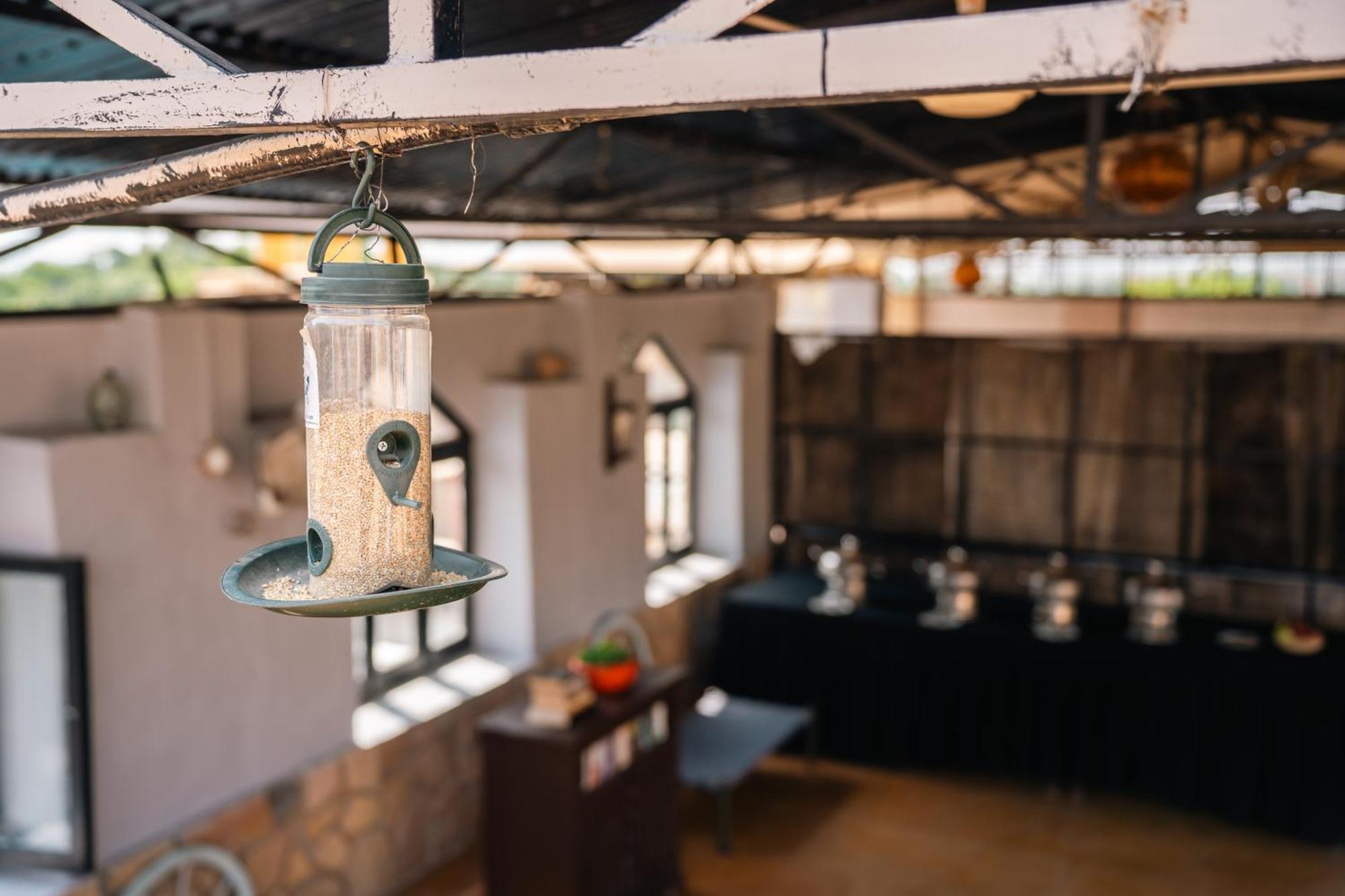 The Elite Castle Hotel Jaisalmer Ngoại thất bức ảnh